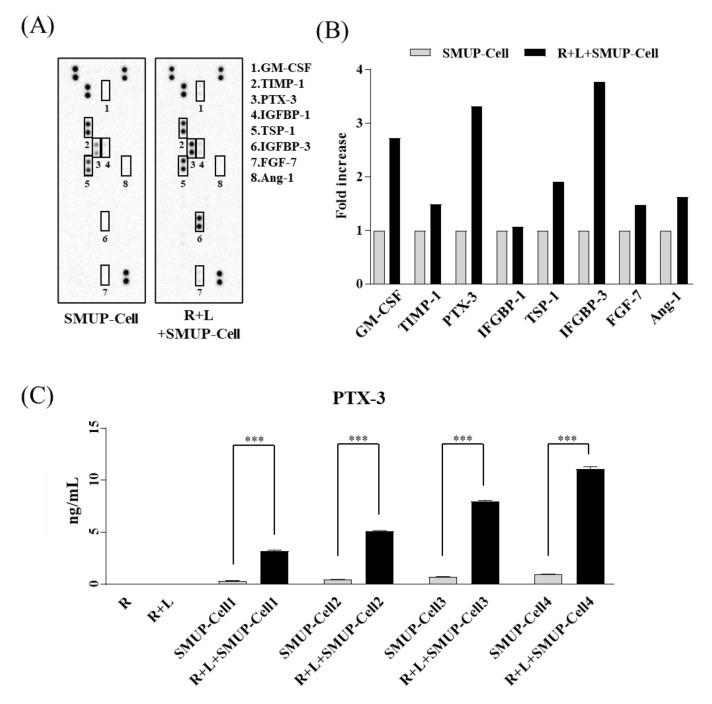 https://cdn.ncbi.nlm.nih.gov/pmc/blobs/c9bf/8466059/3f61a5f296d9/cells-10-02420-g004.jpg