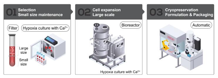 https://cdn.ncbi.nlm.nih.gov/pmc/blobs/c9bf/8466059/d8db1c8524dc/cells-10-02420-g001.jpg