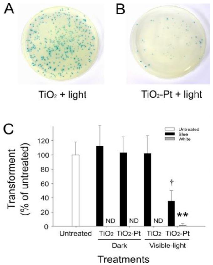 https://cdn.ncbi.nlm.nih.gov/pmc/blobs/c9c2/5295192/4eed086ed2ad/nanomaterials-07-00002-g004.jpg