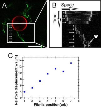 https://cdn.ncbi.nlm.nih.gov/pmc/blobs/c9c3/5485007/f772bfd36307/CPHC-18-1620-g001.jpg