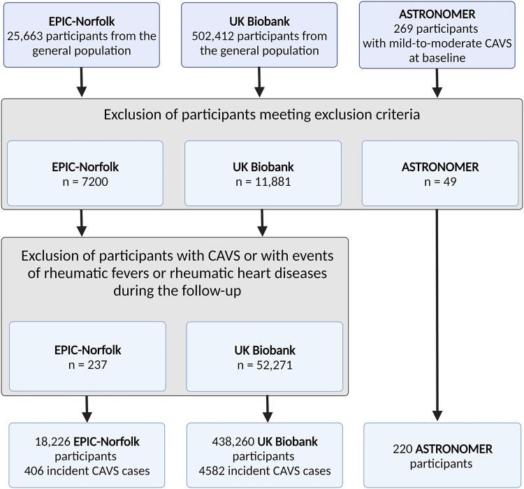 https://cdn.ncbi.nlm.nih.gov/pmc/blobs/c9c5/10108885/3ed7130c9fdc/oead032f1.jpg