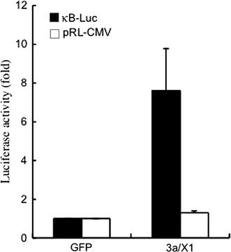 https://cdn.ncbi.nlm.nih.gov/pmc/blobs/c9c6/7086770/400cd77154e2/705_2009_472_Fig3_HTML.jpg
