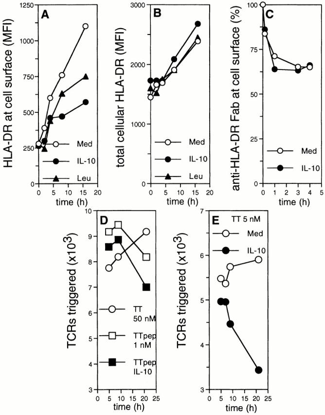 https://cdn.ncbi.nlm.nih.gov/pmc/blobs/c9cc/2193402/a327ebe428d6/JEM001461.f7.jpg