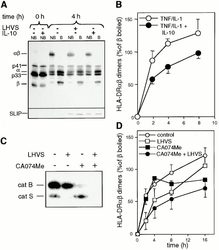 https://cdn.ncbi.nlm.nih.gov/pmc/blobs/c9cc/2193402/cfab48b486da/JEM001461.f4.jpg