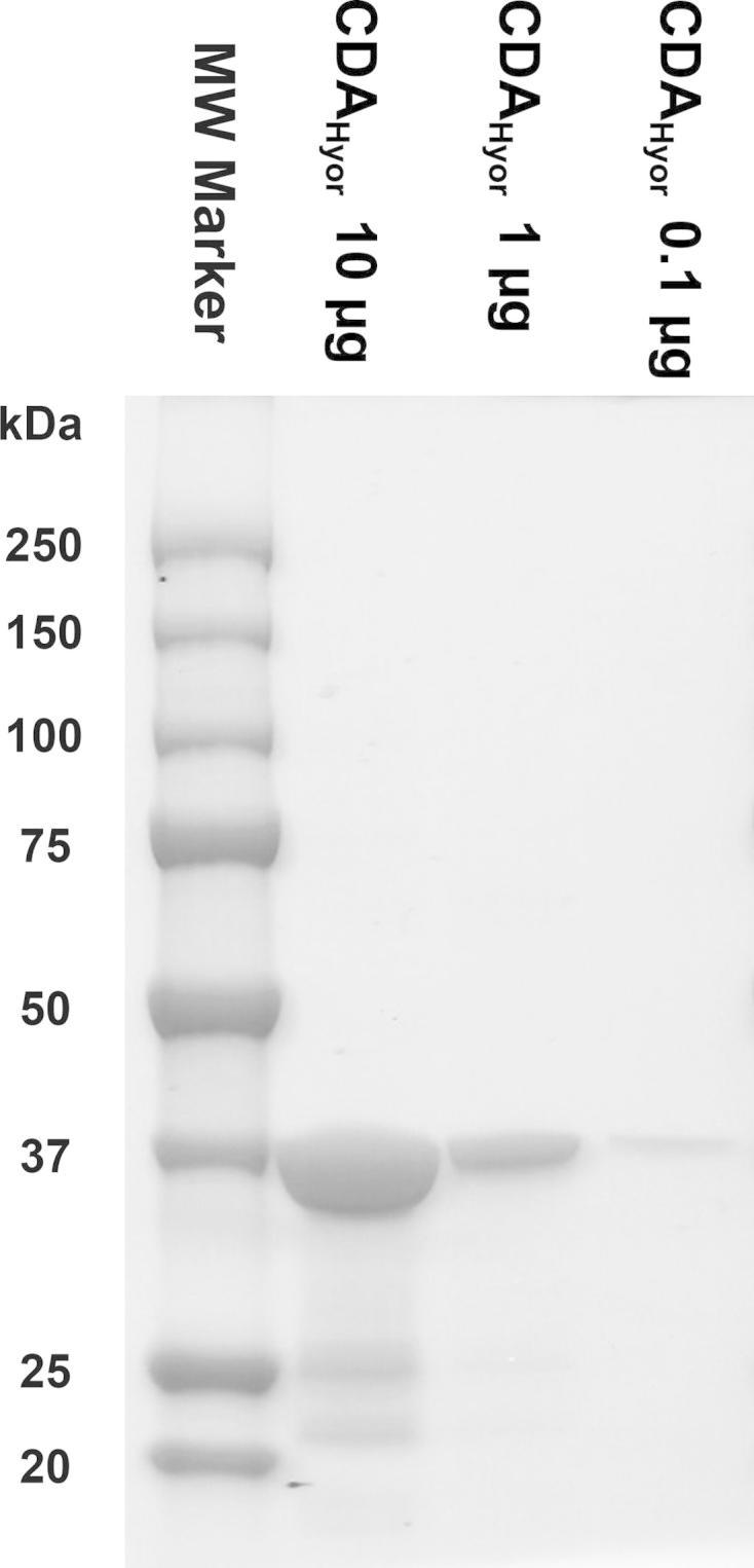https://cdn.ncbi.nlm.nih.gov/pmc/blobs/c9cc/4541722/2ce21c166d7d/gr2.jpg