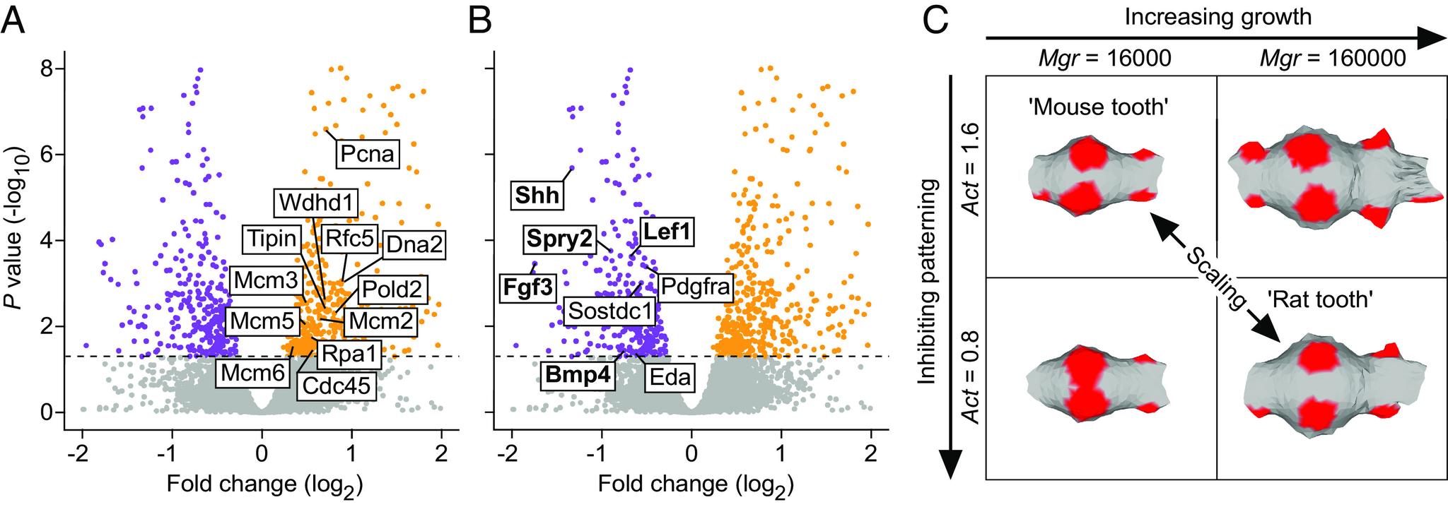 https://cdn.ncbi.nlm.nih.gov/pmc/blobs/c9ce/10288632/5eae0139fd6b/pnas.2300374120fig06.jpg