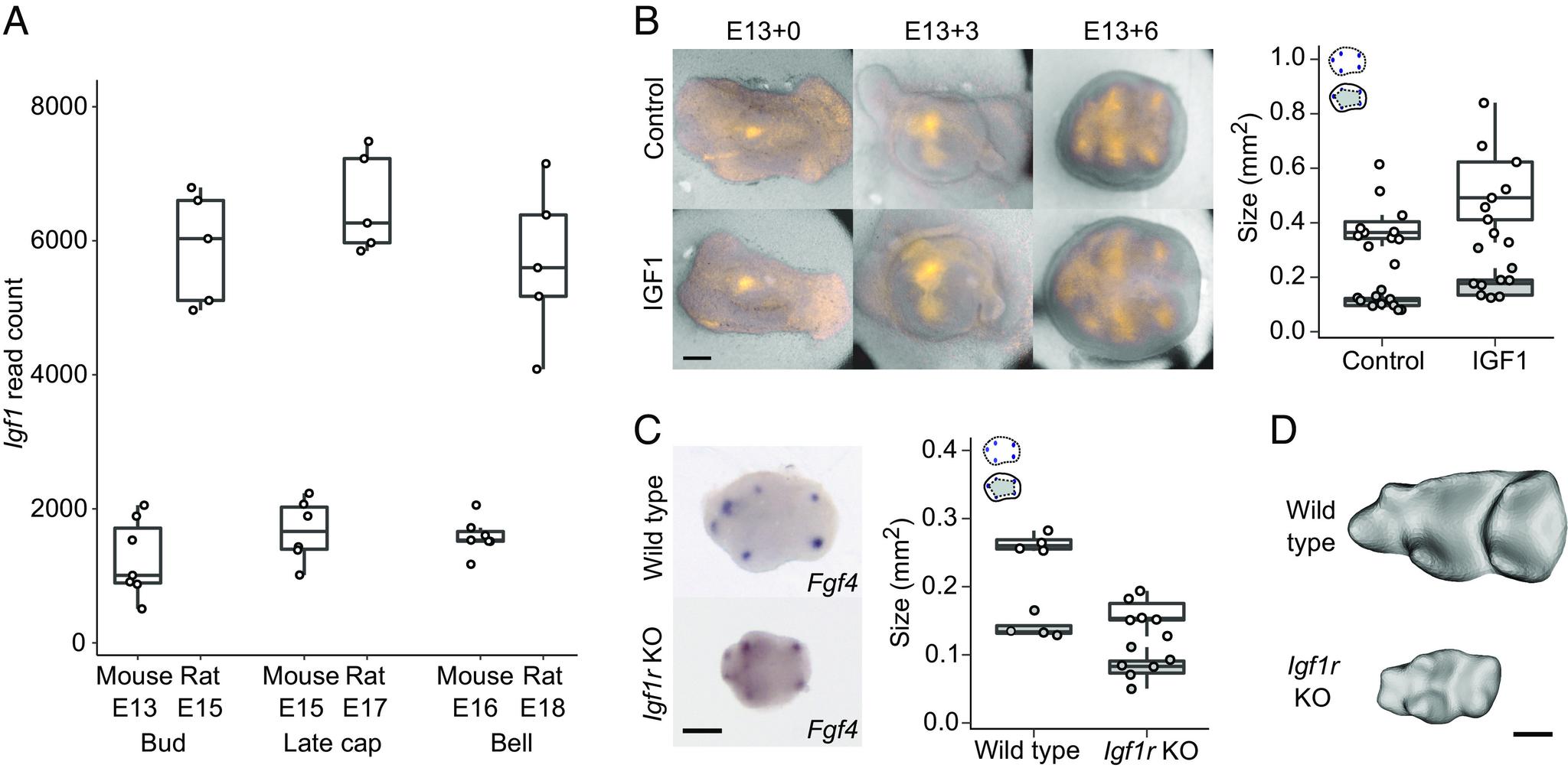 https://cdn.ncbi.nlm.nih.gov/pmc/blobs/c9ce/10288632/99e8a45170a5/pnas.2300374120fig05.jpg
