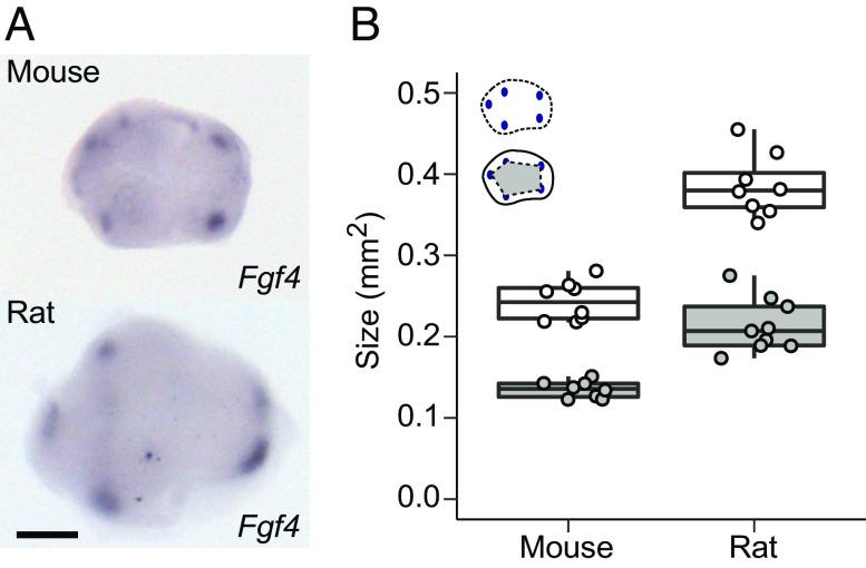 https://cdn.ncbi.nlm.nih.gov/pmc/blobs/c9ce/10288632/a004b9c37416/pnas.2300374120fig04.jpg