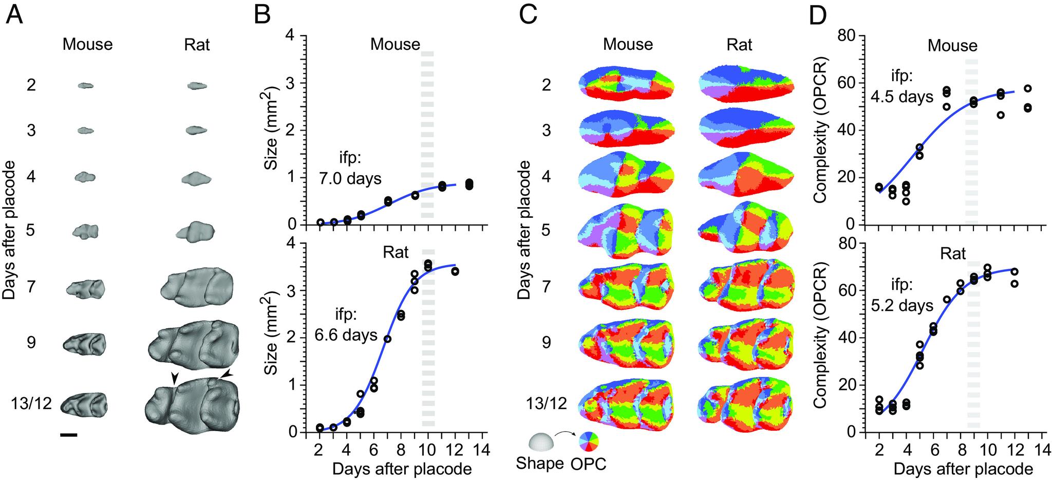 https://cdn.ncbi.nlm.nih.gov/pmc/blobs/c9ce/10288632/e4592b8c8afe/pnas.2300374120fig03.jpg