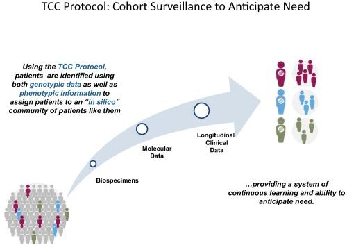 https://cdn.ncbi.nlm.nih.gov/pmc/blobs/c9cf/6032821/cc3e10340cba/CPT-104-23-g001.jpg