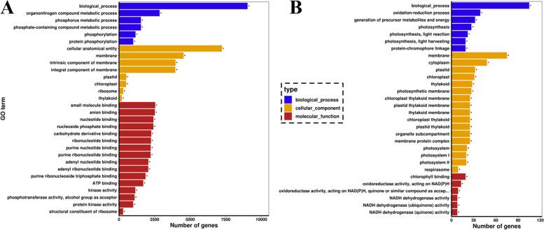 https://cdn.ncbi.nlm.nih.gov/pmc/blobs/c9cf/9178895/3704de42b03f/12870_2022_3652_Fig3_HTML.jpg