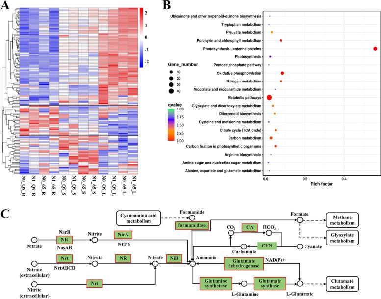 https://cdn.ncbi.nlm.nih.gov/pmc/blobs/c9cf/9178895/99ec1d8b2bb3/12870_2022_3652_Fig5_HTML.jpg