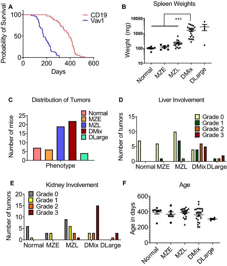 https://cdn.ncbi.nlm.nih.gov/pmc/blobs/c9d0/10169790/ff048e97b676/41598_2023_33949_Fig4_HTML.jpg