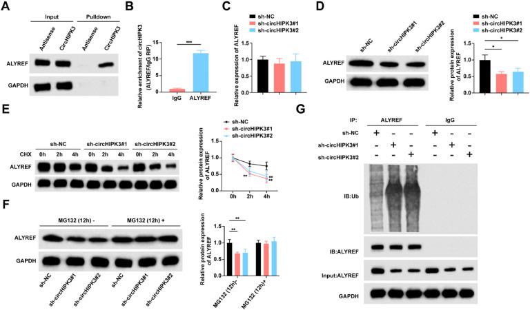 https://cdn.ncbi.nlm.nih.gov/pmc/blobs/c9d0/12171766/1403d6e7a6e3/gr3.jpg