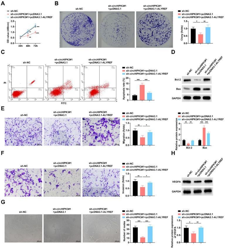 https://cdn.ncbi.nlm.nih.gov/pmc/blobs/c9d0/12171766/5b990a7aafa4/gr5.jpg