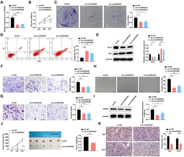 https://cdn.ncbi.nlm.nih.gov/pmc/blobs/c9d0/12171766/96c33bbdf76d/gr2.jpg