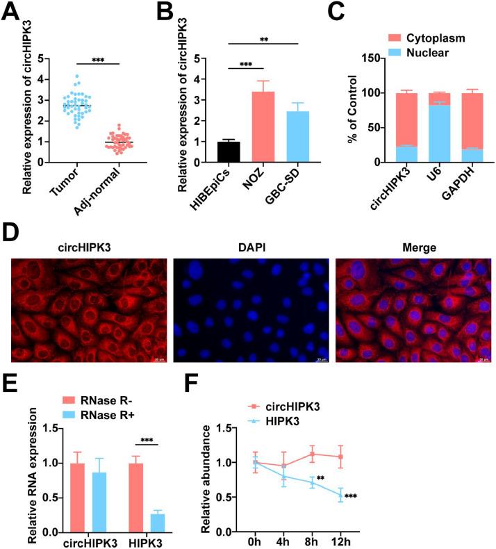 https://cdn.ncbi.nlm.nih.gov/pmc/blobs/c9d0/12171766/e0faf418789c/gr1.jpg