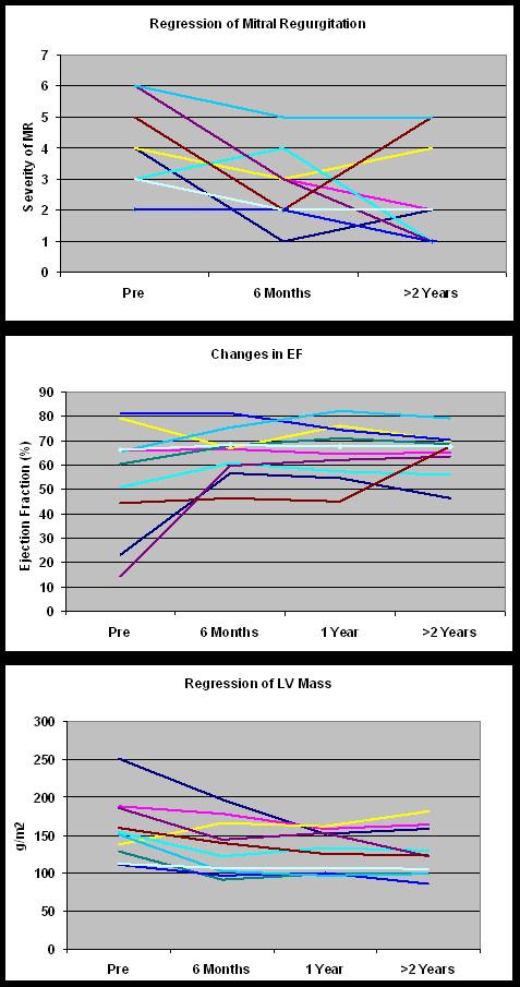 https://cdn.ncbi.nlm.nih.gov/pmc/blobs/c9d2/3094375/17a06b6c7a68/1749-8090-6-53-5.jpg