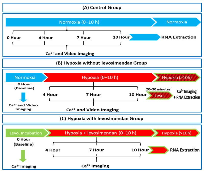 https://cdn.ncbi.nlm.nih.gov/pmc/blobs/c9d5/8947267/21d7d653dbbd/cells-11-01045-g002.jpg