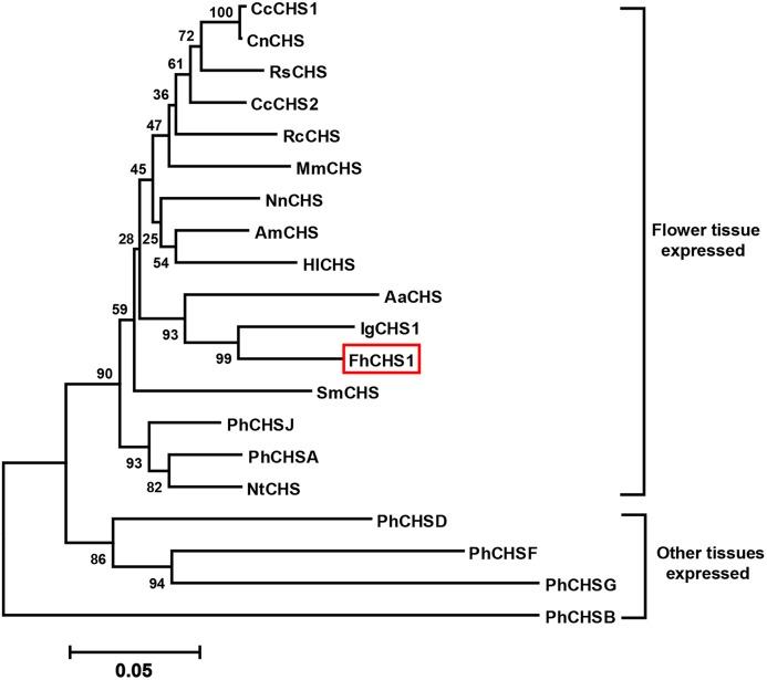 https://cdn.ncbi.nlm.nih.gov/pmc/blobs/c9d7/4351062/2b7369f00aba/pone.0119054.g003.jpg