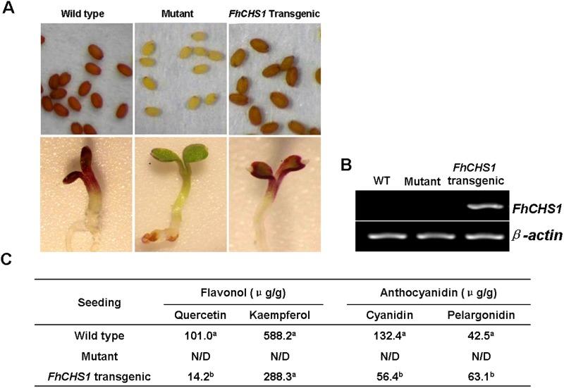https://cdn.ncbi.nlm.nih.gov/pmc/blobs/c9d7/4351062/84df815a5cf8/pone.0119054.g006.jpg