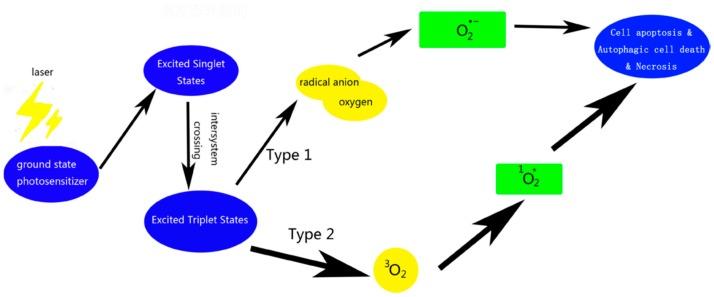 https://cdn.ncbi.nlm.nih.gov/pmc/blobs/c9d7/6316340/5a58ce9fbb74/biosensors-08-00095-g007.jpg