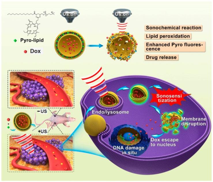 https://cdn.ncbi.nlm.nih.gov/pmc/blobs/c9d7/6316340/a225b46db324/biosensors-08-00095-g008.jpg