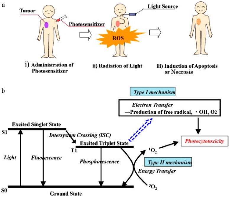 https://cdn.ncbi.nlm.nih.gov/pmc/blobs/c9d7/6316340/c44a488fe847/biosensors-08-00095-g006.jpg