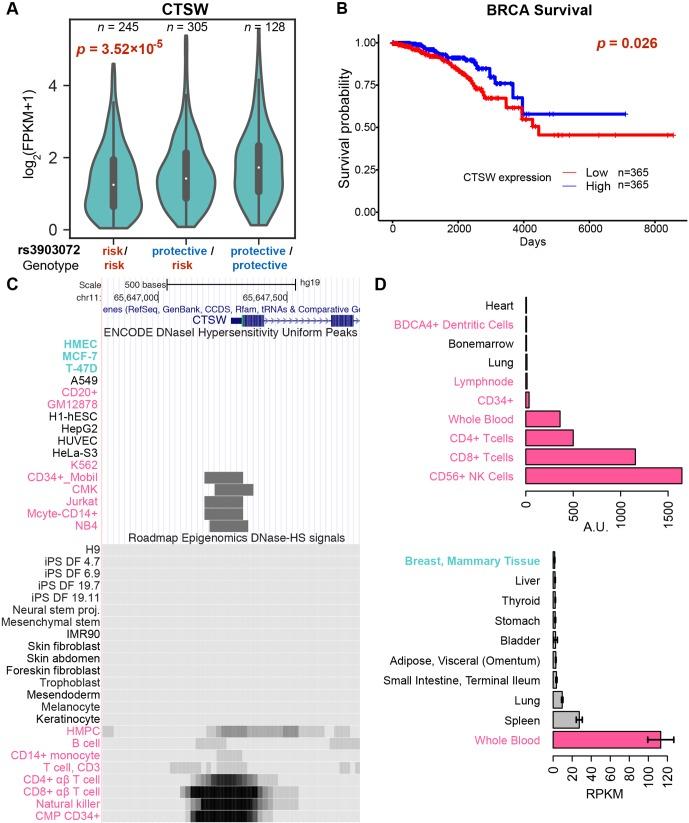 https://cdn.ncbi.nlm.nih.gov/pmc/blobs/c9d7/6715770/af94e107dd97/fgene-10-00754-g002.jpg