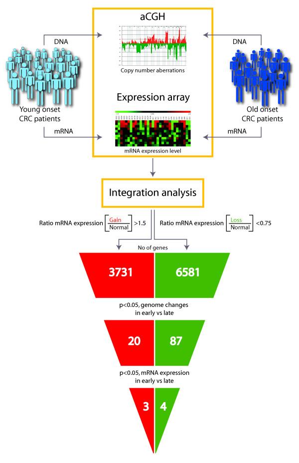 https://cdn.ncbi.nlm.nih.gov/pmc/blobs/c9da/2885343/1f0071dfa58b/1476-4598-9-100-1.jpg