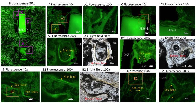 https://cdn.ncbi.nlm.nih.gov/pmc/blobs/c9da/7879644/3917bc15c0c6/12891_2021_4022_Fig8_HTML.jpg