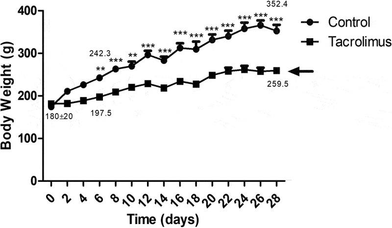 https://cdn.ncbi.nlm.nih.gov/pmc/blobs/c9db/8966987/4f9bb1f2f9d9/KISL_A_2051991_F0010_B.jpg