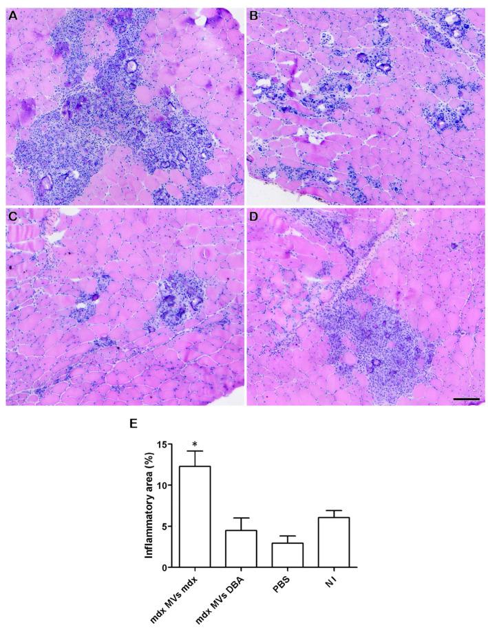 https://cdn.ncbi.nlm.nih.gov/pmc/blobs/c9dd/12026684/23149ae6ae3b/ijms-26-03499-g007.jpg