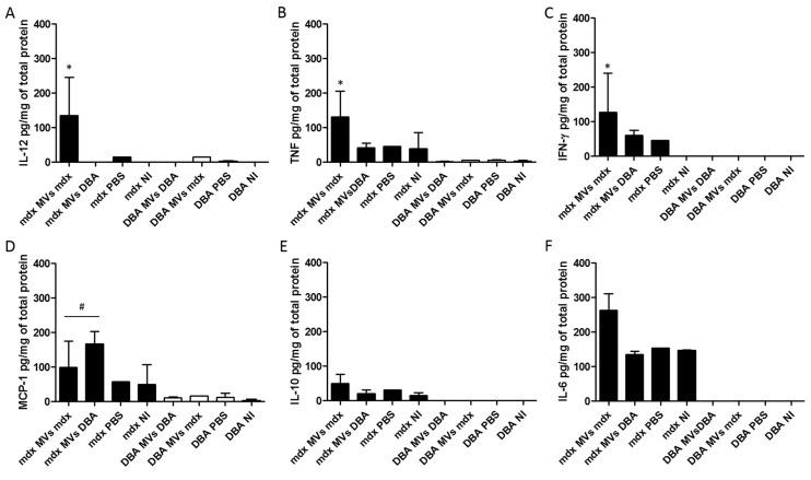 https://cdn.ncbi.nlm.nih.gov/pmc/blobs/c9dd/12026684/25bf8b3e1284/ijms-26-03499-g009.jpg