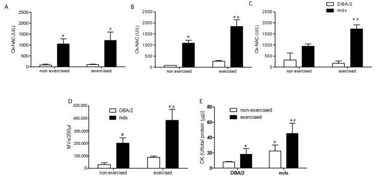https://cdn.ncbi.nlm.nih.gov/pmc/blobs/c9dd/12026684/31d03a6a15d7/ijms-26-03499-g003.jpg