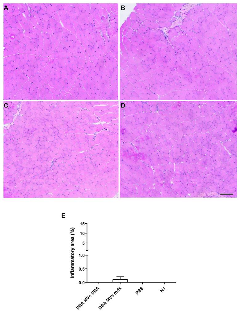 https://cdn.ncbi.nlm.nih.gov/pmc/blobs/c9dd/12026684/a4a07b92a6a4/ijms-26-03499-g008.jpg