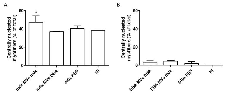 https://cdn.ncbi.nlm.nih.gov/pmc/blobs/c9dd/12026684/d0df1c8eff58/ijms-26-03499-g006.jpg