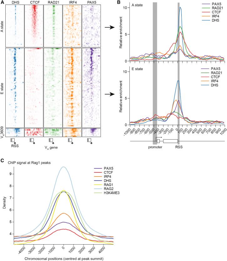 https://cdn.ncbi.nlm.nih.gov/pmc/blobs/c9e0/4914699/26ea130ebc2a/gr6.jpg