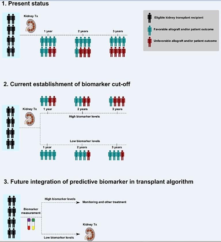 https://cdn.ncbi.nlm.nih.gov/pmc/blobs/c9e0/9357871/dd774e6f2963/fimmu-13-945288-g001.jpg