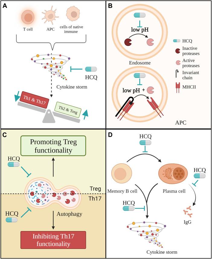 https://cdn.ncbi.nlm.nih.gov/pmc/blobs/c9e1/10875033/444045290dcd/fphar-15-1298928-g003.jpg