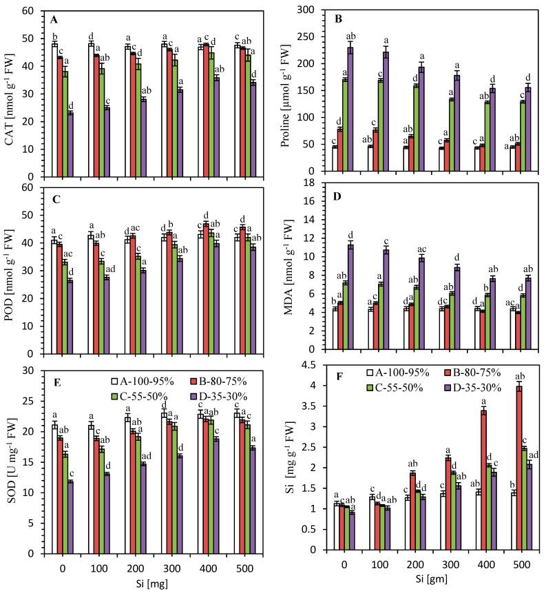 https://cdn.ncbi.nlm.nih.gov/pmc/blobs/c9e9/7464948/cbbfee898a1a/plants-09-01032-g003.jpg