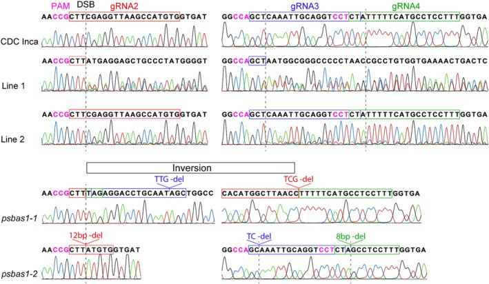 https://cdn.ncbi.nlm.nih.gov/pmc/blobs/c9ea/10784647/6017aa63fda9/PLD3-8-e563-g004.jpg