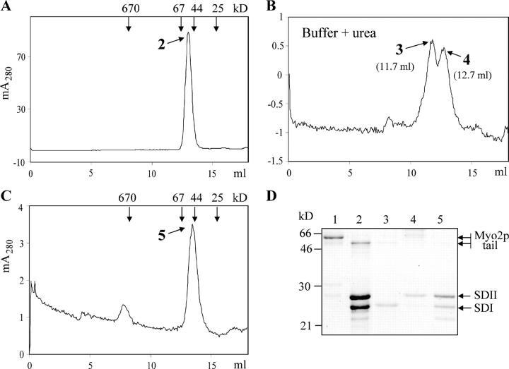 https://cdn.ncbi.nlm.nih.gov/pmc/blobs/c9ea/2171732/79a42777926e/200407146f3.jpg