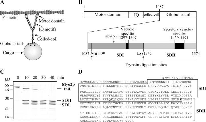 https://cdn.ncbi.nlm.nih.gov/pmc/blobs/c9ea/2171732/b91f9a5efdc0/200407146f1.jpg