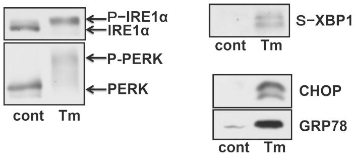 https://cdn.ncbi.nlm.nih.gov/pmc/blobs/c9ec/3844943/a11efe76f7c0/srep03388-f1.jpg