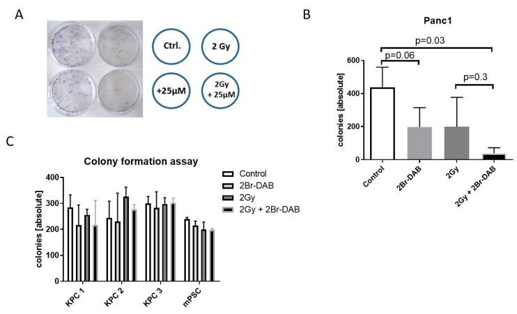https://cdn.ncbi.nlm.nih.gov/pmc/blobs/c9ed/6627568/19af793fe52e/cells-08-00563-g004.jpg