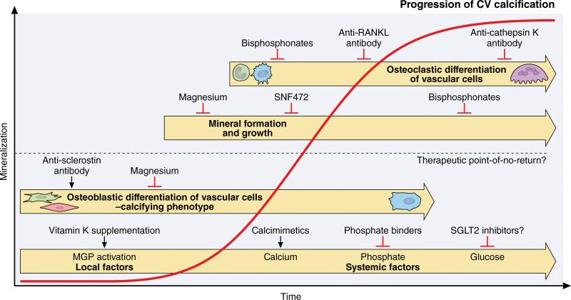 https://cdn.ncbi.nlm.nih.gov/pmc/blobs/c9ee/10097496/1e3ecd97556a/res-132-993-g002.jpg