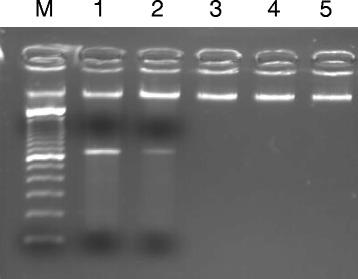 https://cdn.ncbi.nlm.nih.gov/pmc/blobs/c9ee/4299380/56dd7f91618d/13039_2014_103_Fig1_HTML.jpg