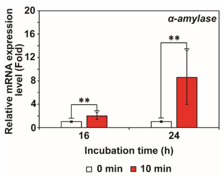 https://cdn.ncbi.nlm.nih.gov/pmc/blobs/c9f0/9695996/9035864d549d/jof-08-01187-g003.jpg