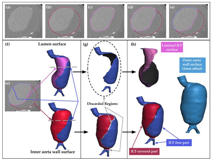 https://cdn.ncbi.nlm.nih.gov/pmc/blobs/c9f3/10886172/1376dbe47ebb/bioengineering-11-00144-g002.jpg